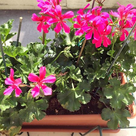 Hotel Villa Cinzia Villanova Mondovì 객실 사진