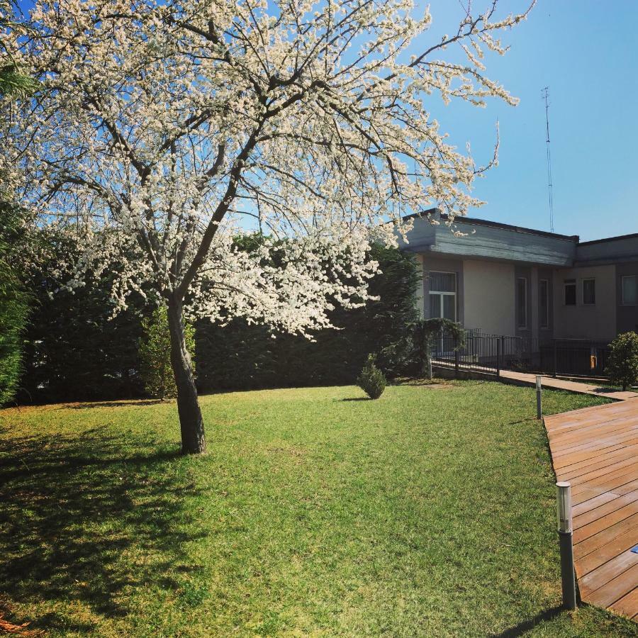 Hotel Villa Cinzia Villanova Mondovì 외부 사진